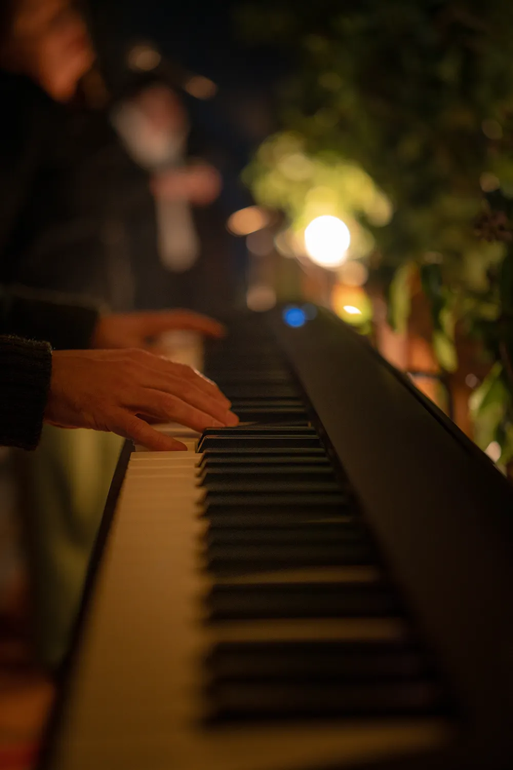 A Night in the Park Dine With Friends Music
