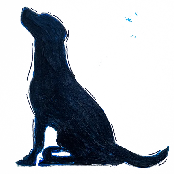 Steve the Dog Sitting