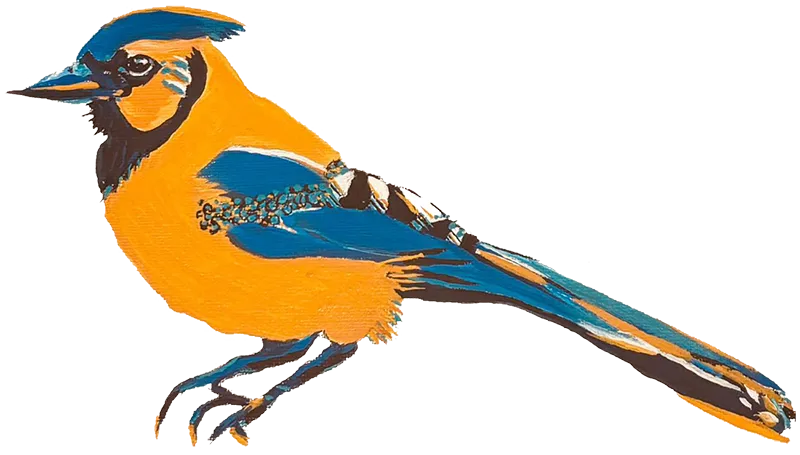 The J Kiosk Jay Bird